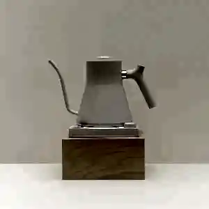 Fellow Stagg EKG Electric Kettle